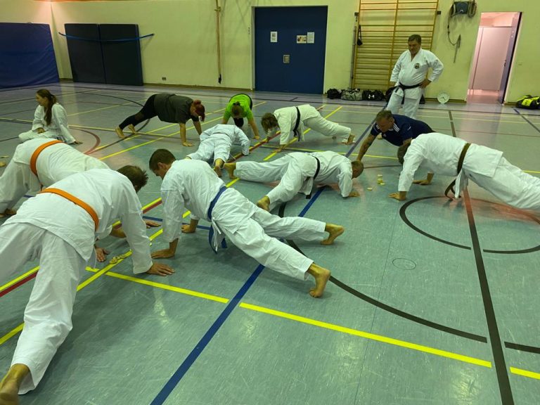 Aufwärmen - unser Dojoleiter überwacht