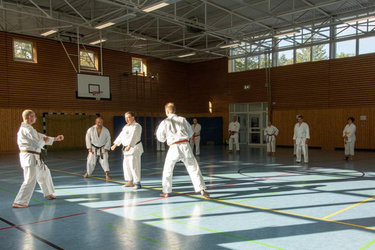 Karate gegen mehrere Gegner